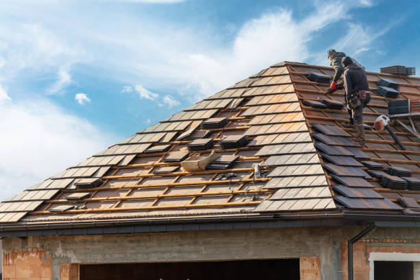 Best Gutter Installation and Repair  in Oliver Springs, TN